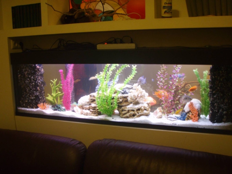 Псевдоморе аквариум 100 литров