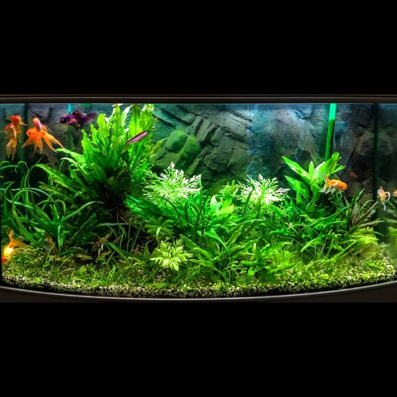 Аквариум травник 120л