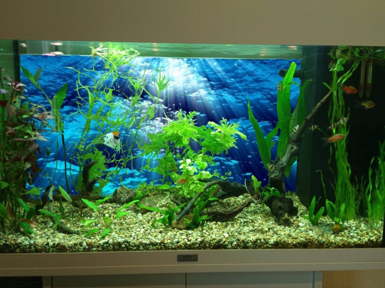Искусственные растения для аквариума