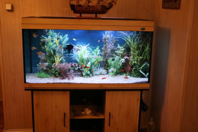 Красивые аквариумы