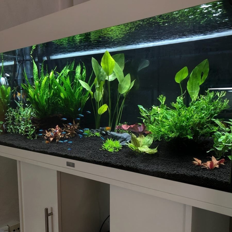 Аквариум в интерьере квартиры