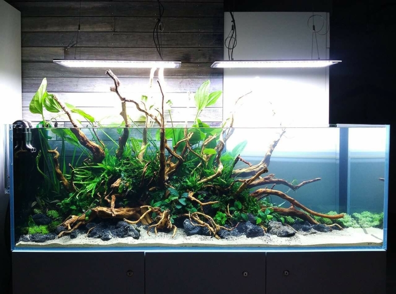 Аквариум Минимализм