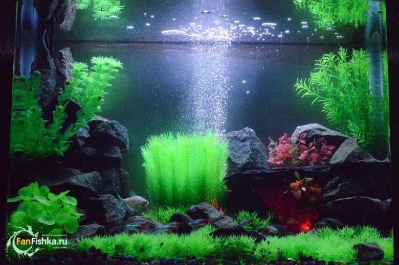 Красивые аквариумы с искусственными растениями