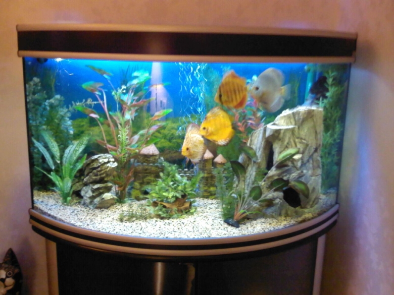 Угловой аквариум