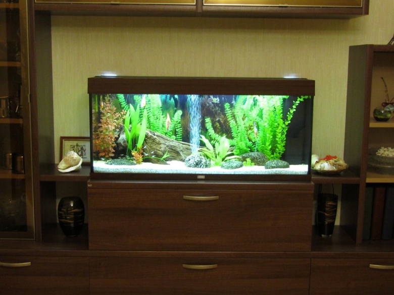 Красивые аквариумы с искусственными растениями