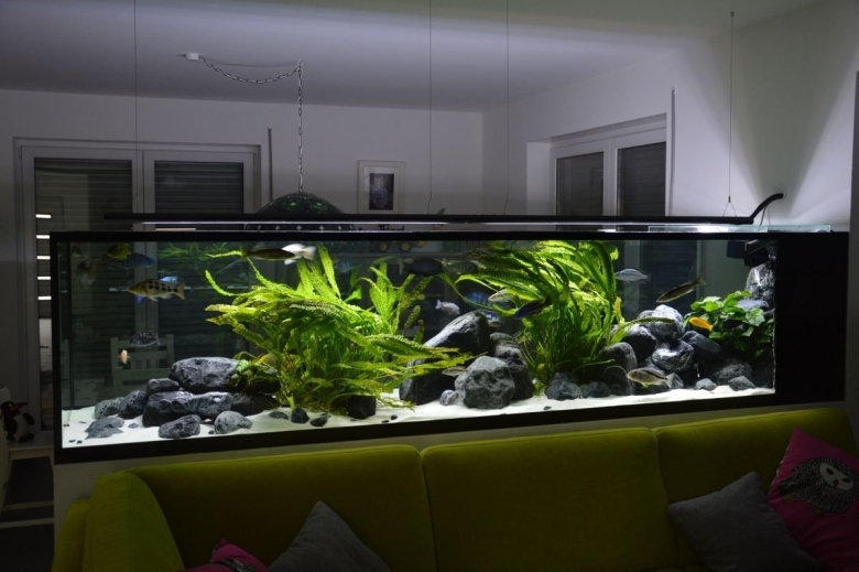 Акваскейп цихлидник