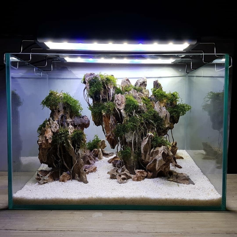 Акваскейп 200 литров