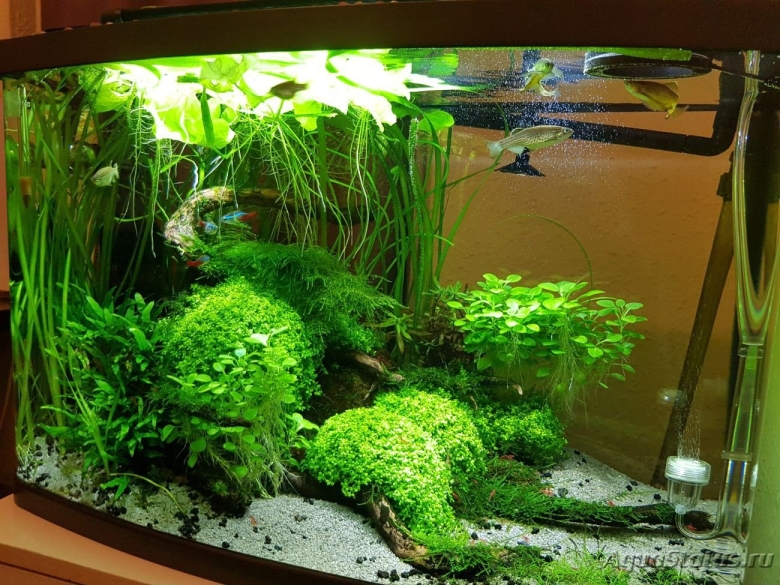 Аквариум травник 25 литров