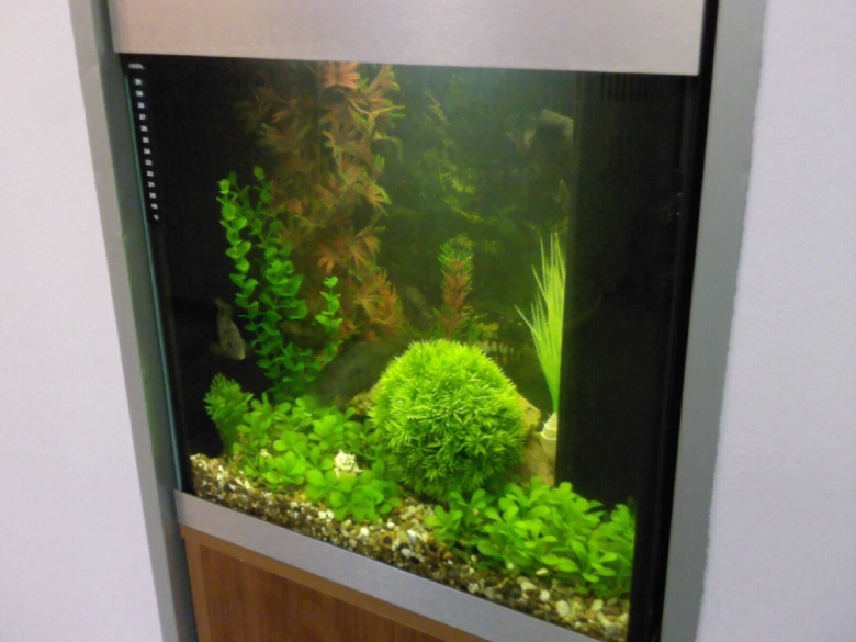Оформление аквариума 60 литров
