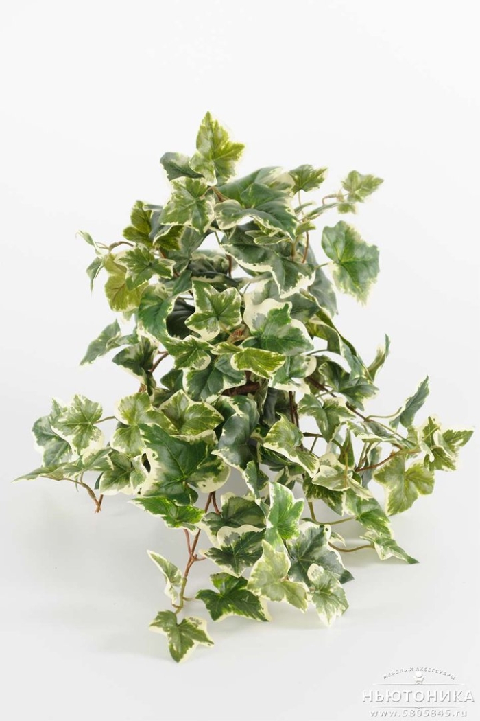 Искусственные растения плющ