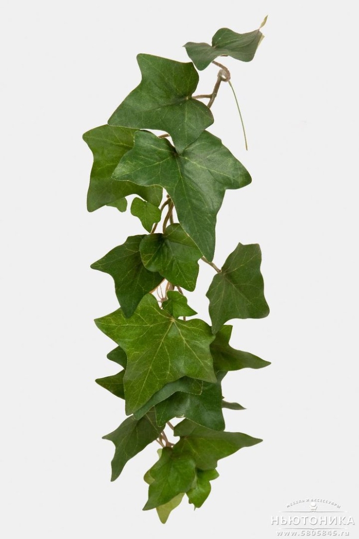 Искусственная зелень плющ