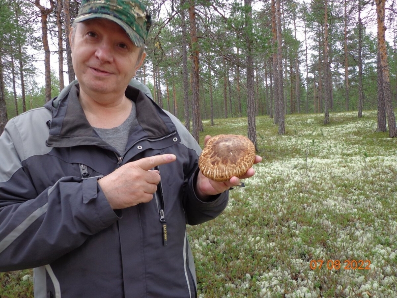 Гриб рябчик съедобный