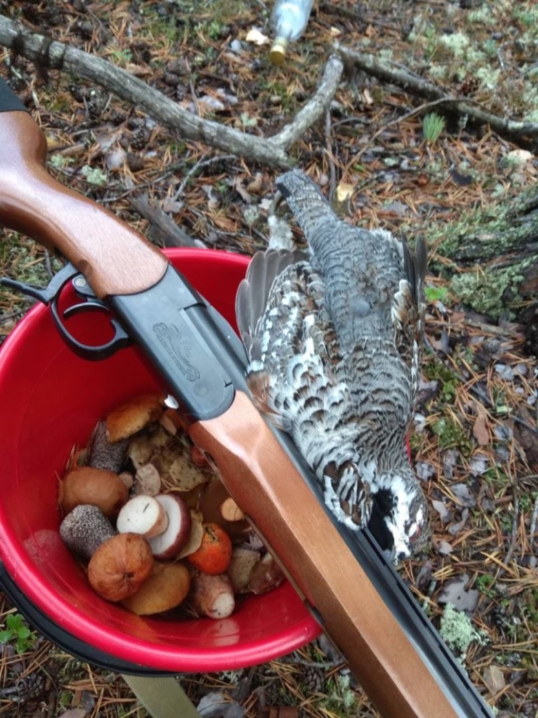 Рябчик Дреновского