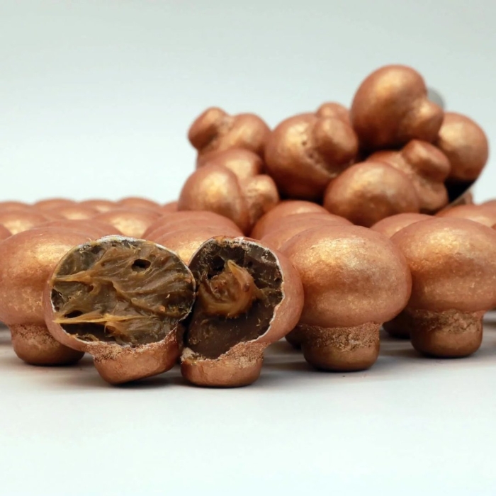 Шоколадные грибы