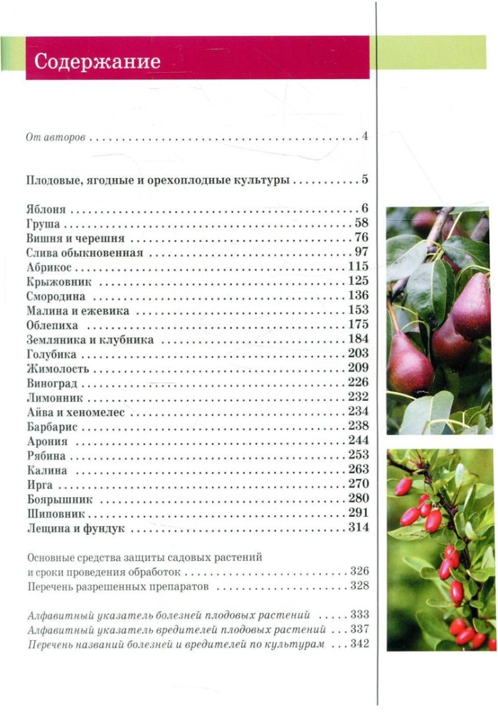 Плодовые и ягодные культуры