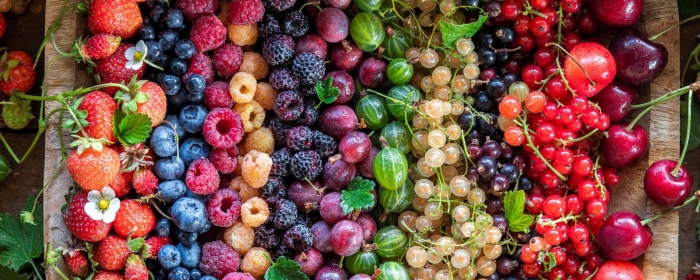 Крубника малина черника смородина