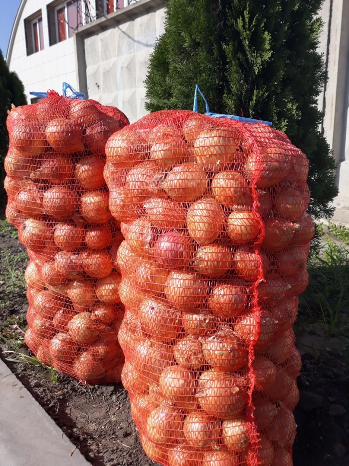 Сетка овощная 50х80