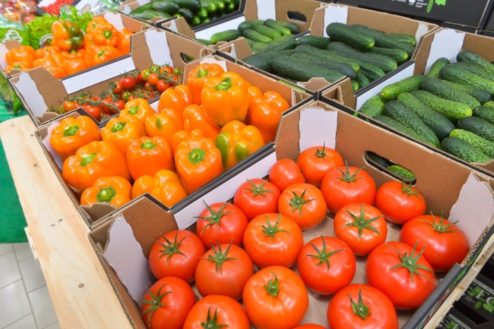 Агроинвест людиново помидоры