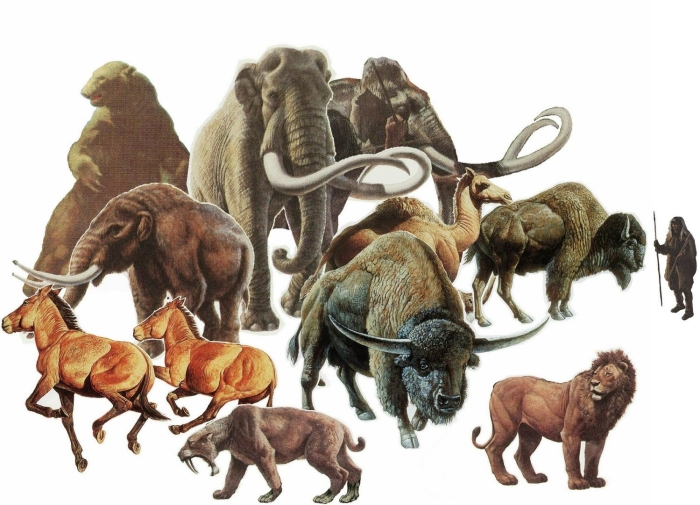 Плейстоценовая мегафауна северной америки