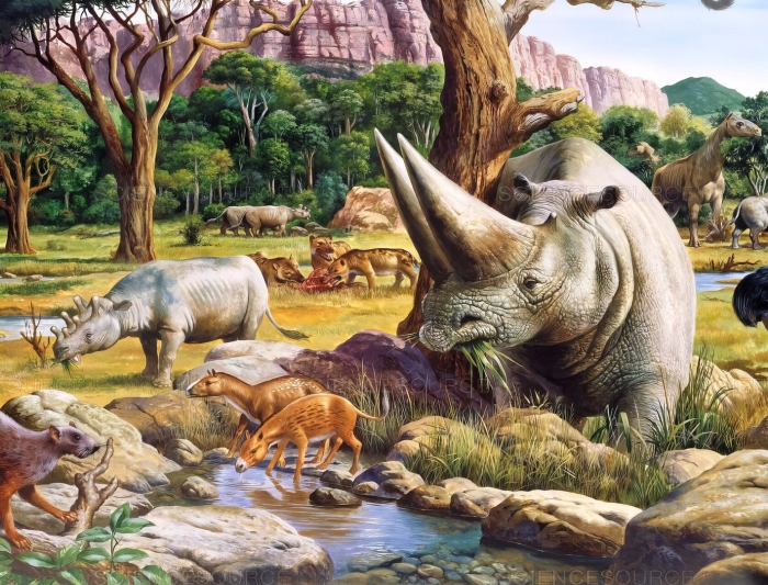 Кайнозойская эра палеогеновый период