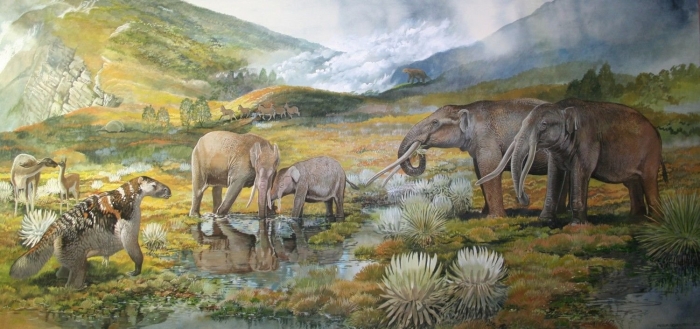 Кайнозой эра неоген