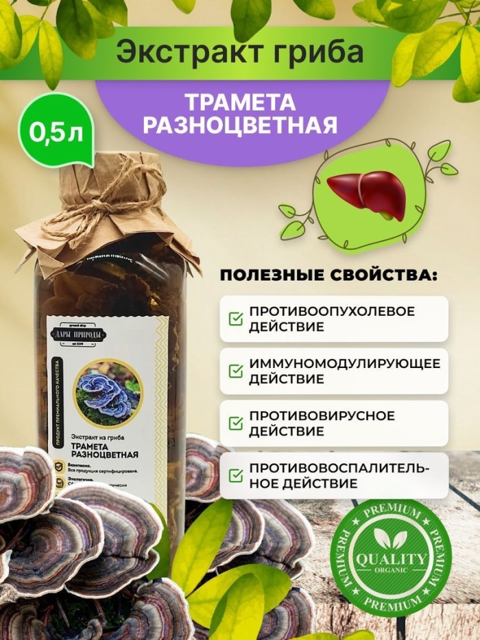 Трамета разноцветная