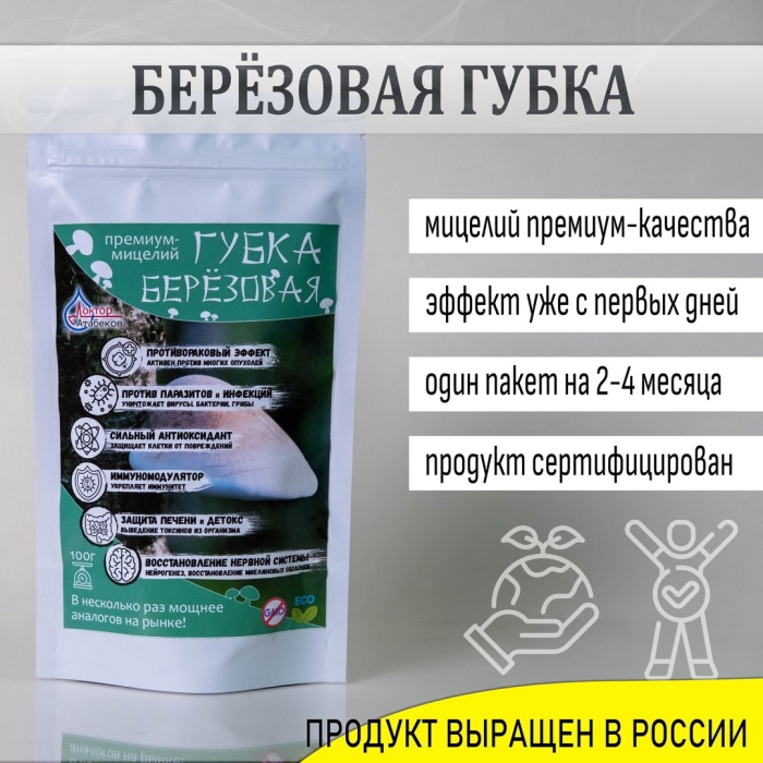 Березовая губка