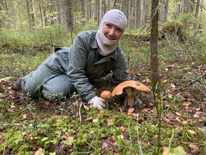 Грибник подмосковья