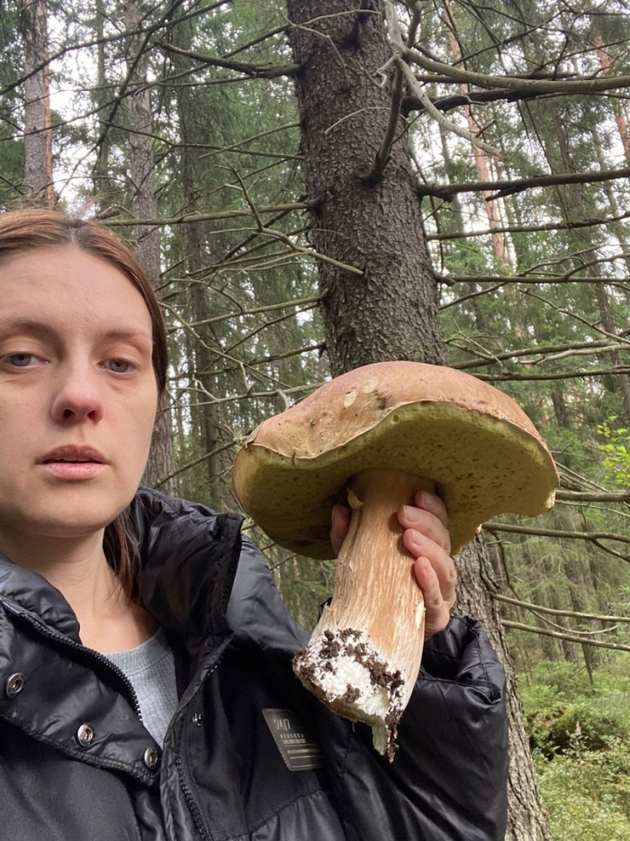 Гигантские грибы