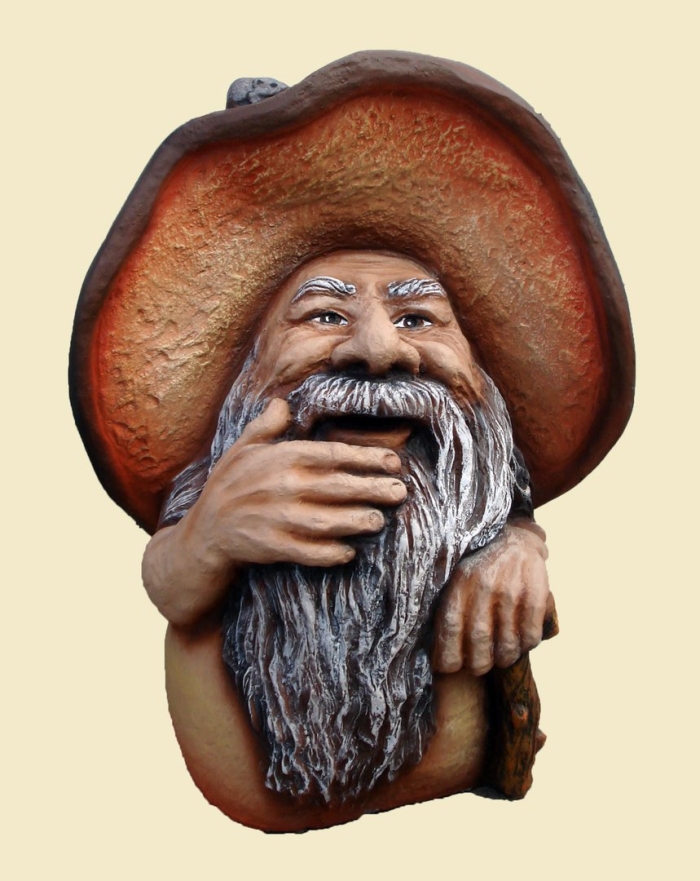 Лесовичок боровичок