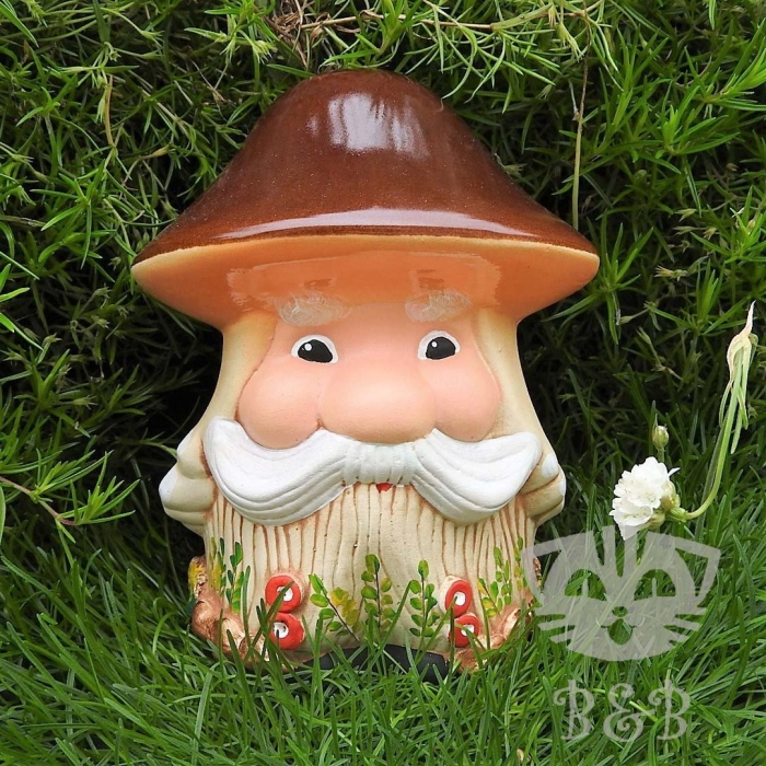 Мужичок боровичок