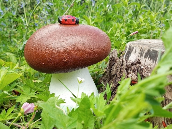 Грибок боровичок