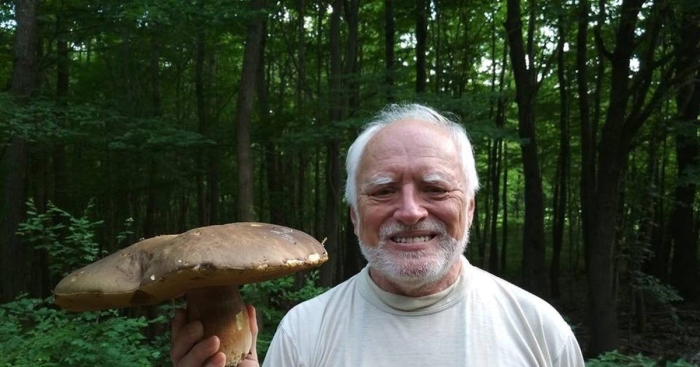 Самые большие грибы