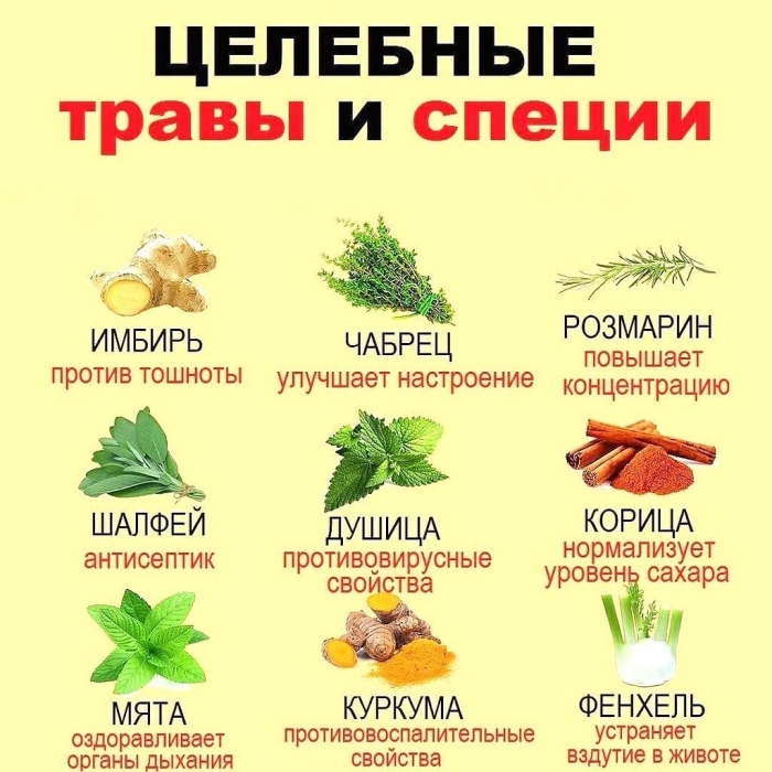 Полезная трава