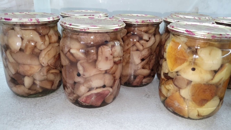 Маринованные грибочки на зиму