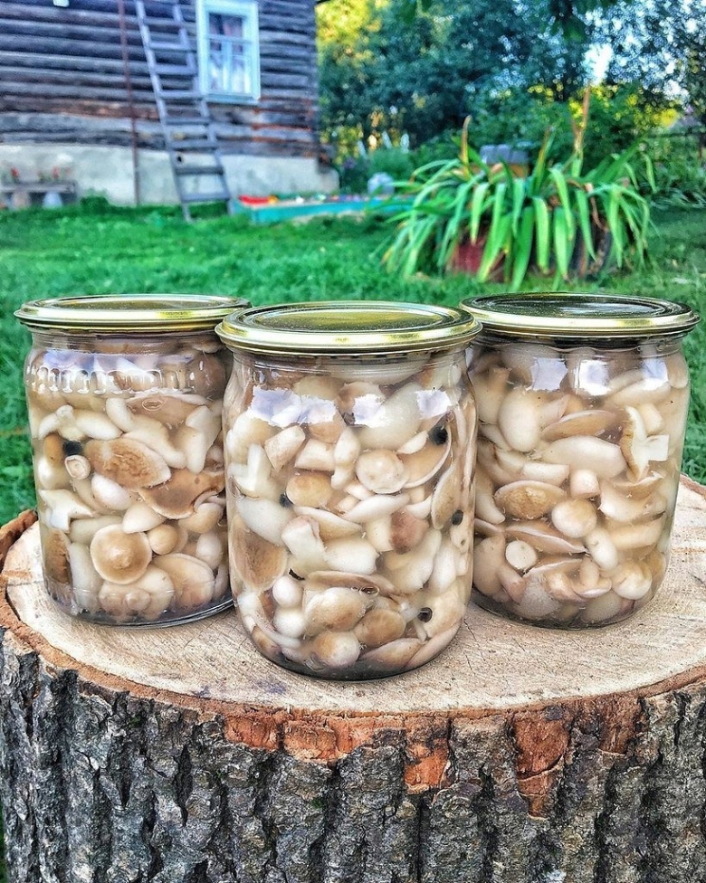 Маринованный грибы