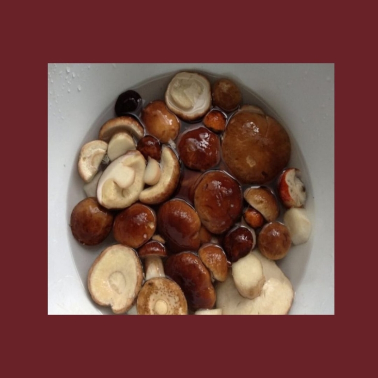 Гриб белый боровик соленый