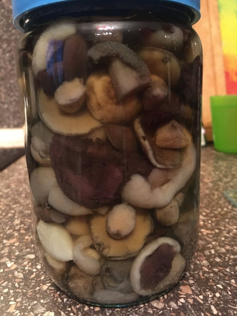 Черные грузди чернушка