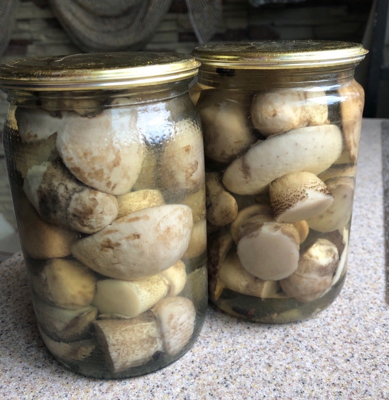 Подберезовики в банках