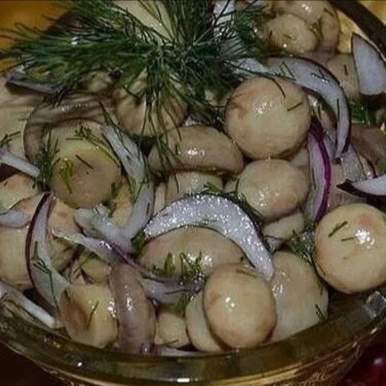 Малосольные грибы шампиньоны