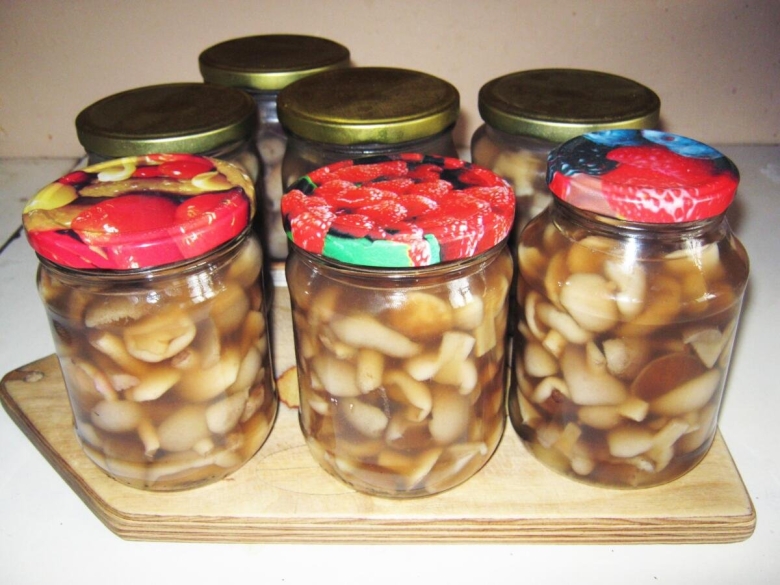 Маслята маринованные на зиму рецепты