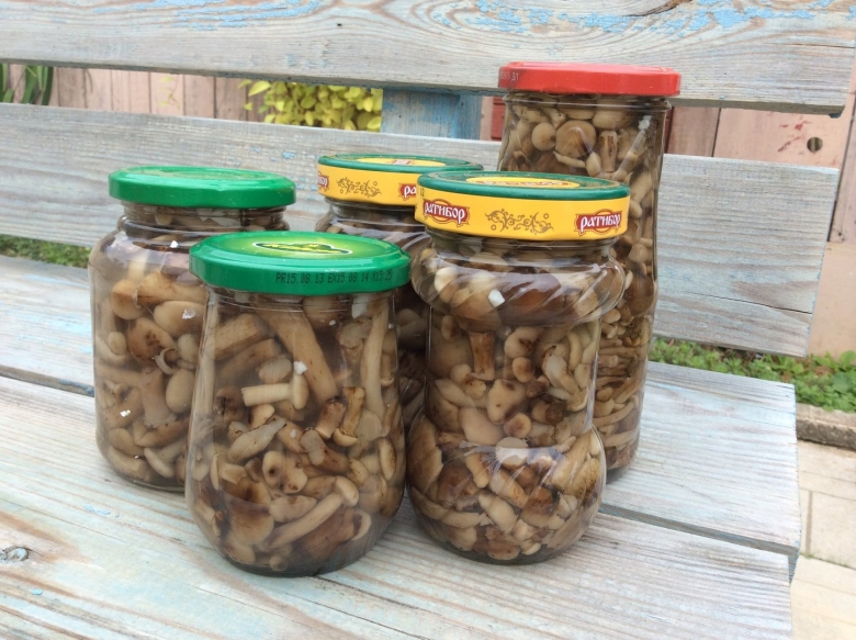 Грибы опята маринованные