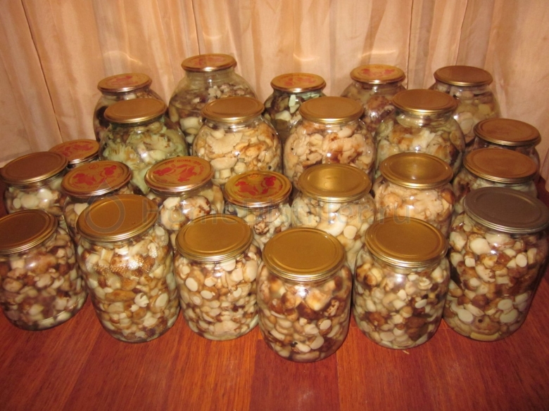 Подтопольники грибы маринованные