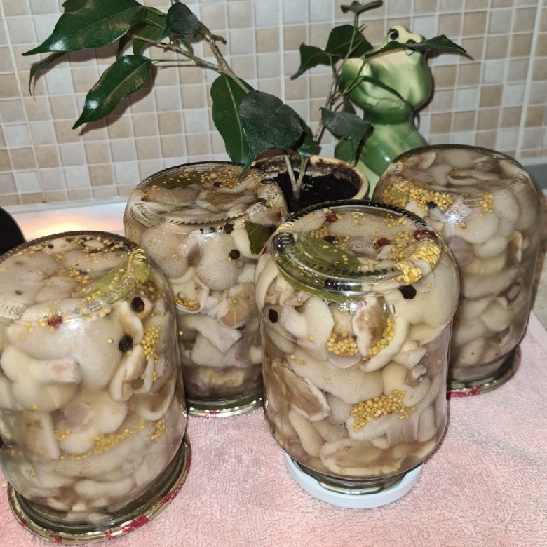 Маринованные грузди