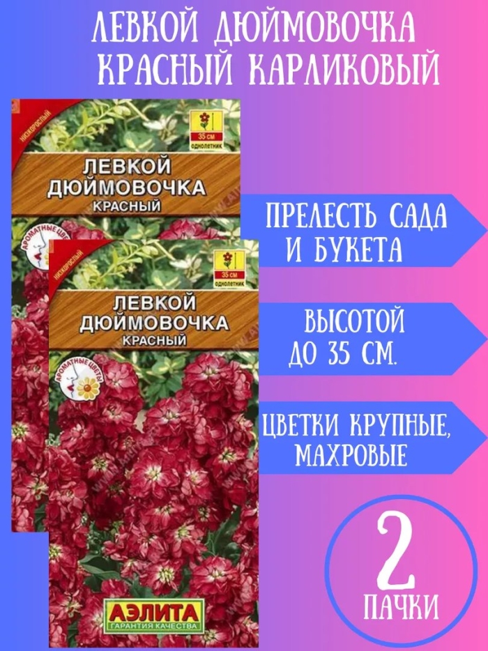 Левкой дюймовочка красный карликовый