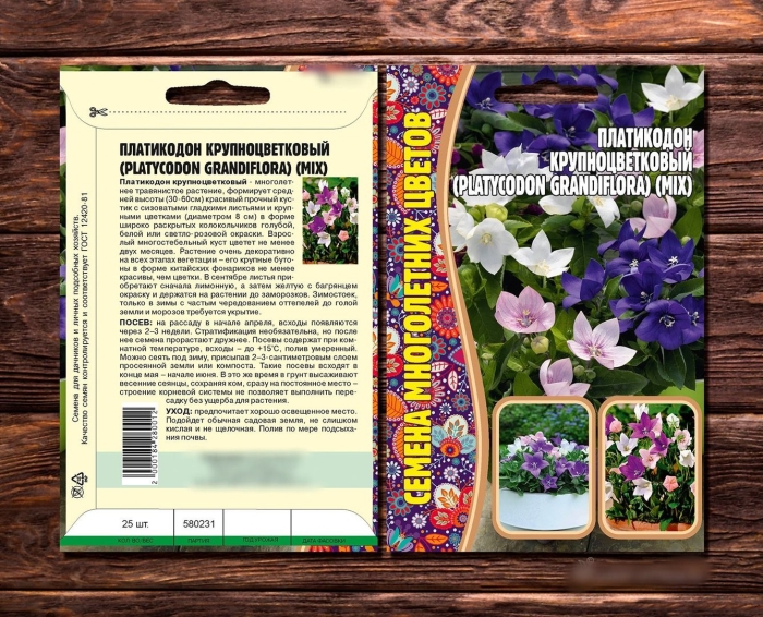 Многолетний цветок платикодон