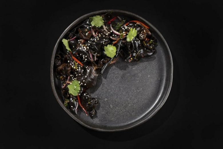 Древесные грибы муэр