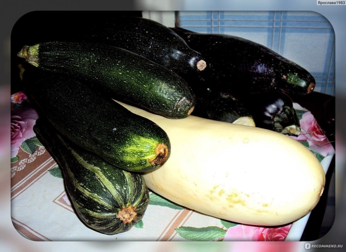 Кабачок овощ