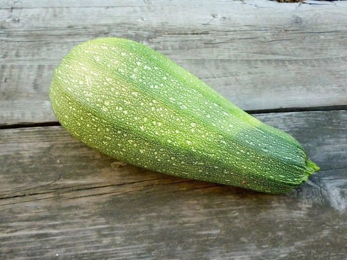 Кабачок цуккини ерема