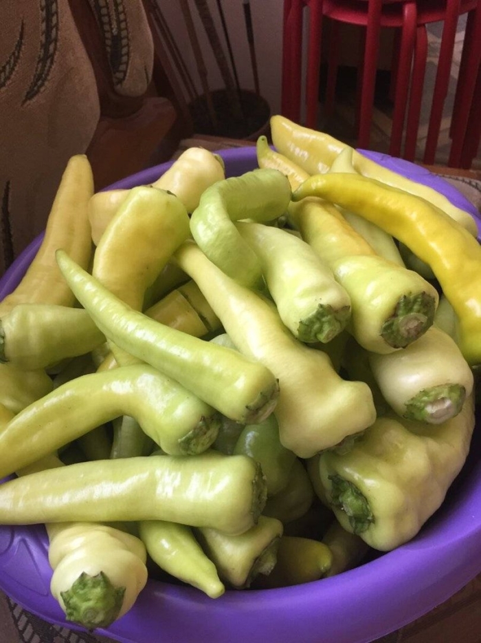 Армянский горький перец цицак